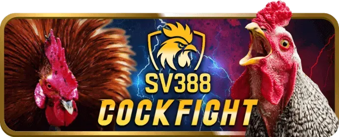 Giao diện thân thiện và dễ sử dụng của w88sports